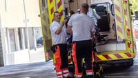Bagaimana Mengukur Jejak Maut Gelombang Panas di Jerman?