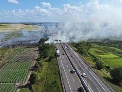 Karhutla di Samping Tol Palindra, Asap Ganggu Jarak Pandang Pengendara