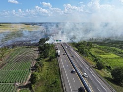 Karhutla di Samping Tol Palindra, Asap Ganggu Jarak Pandang Pengendara
