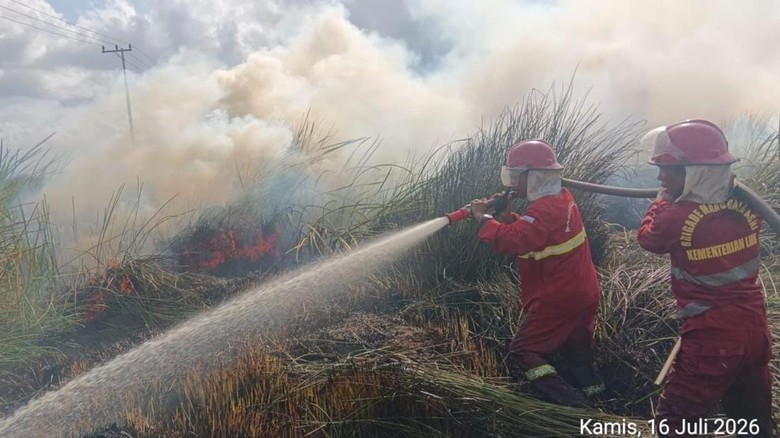 Kemenhut Siagakan 180 Personel Manggala Agni untuk Karhutla di Kalsel