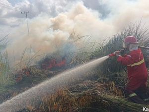 Kemenhut Siagakan 180 Personel Manggala Agni untuk Karhutla di Kalsel