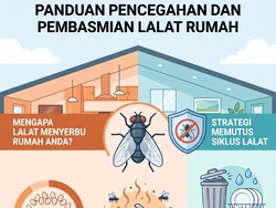 Infografis: 3 Alasan Rumah Diserbu Lalat dan Cara Cegahnya