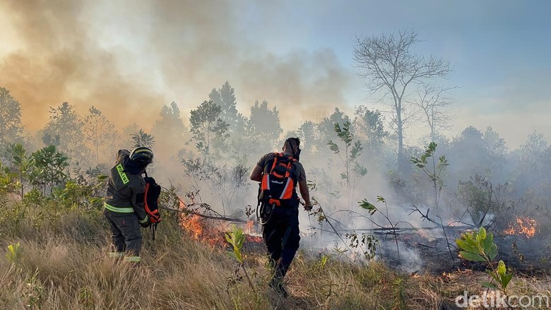 Lahan Seluas 4 Hektare di Pangkalpinang Terbakar
