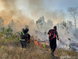 Lahan Seluas 4 Hektare di Pangkalpinang Terbakar