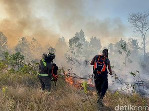 Lahan Seluas 4 Hektare di Pangkalpinang Terbakar