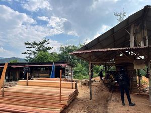 Polda Riau Bongkar Sawmill Ilegal di Kampar, Ratusan Kayu Illegal Logging Disita