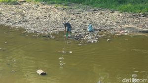 Sungai Bekasi Mengering, Warga Manfaatkan untuk Mencari Ikan