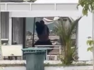 Heboh Sejoli Diduga Mesum di Masjid Al Alam Kendari Usai Lari Pagi