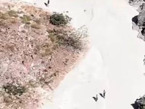 Viral Aksi Turun ke Kawah Puncak Ciremai, TNGC Lacak Identitas Pelaku