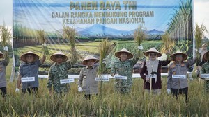 Al Haris Minta Produksi Pangan Jambi Digenjot demi Stop Impor Beras 2027