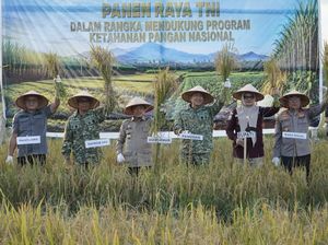 Al Haris Minta Produksi Pangan Jambi Digenjot demi Stop Impor Beras 2027