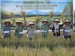 Al Haris Minta Produksi Pangan Jambi Digenjot demi Stop Impor Beras 2027