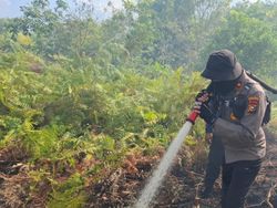 Pemprov Riau Sebut Karhutla Terkendali, Kolaborasi Satgas Jadi Kunci Utama