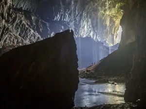 Ekspedisi Gua Borneo Ungkap Dunia Tersembunyi di Bawah Hutan
