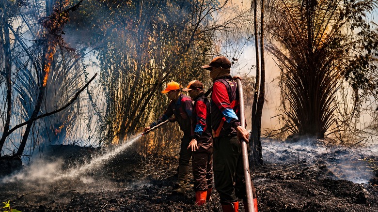 Karhutla Mengganas di Kotim, BPBD Usul Tambah Helikopter Water Bombing
