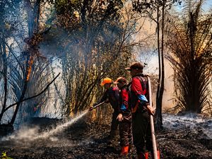 Karhutla Mengganas di Kotim, BPBD Usul Tambah Helikopter Water Bombing