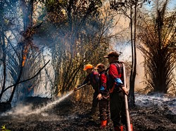 Karhutla Mengganas di Kotim, BPBD Usul Tambah Helikopter Water Bombing