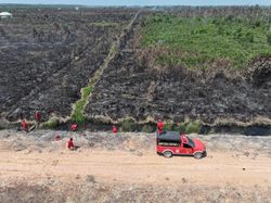 Karhutla di OKI Meluas hingga 20 Hektare Lahan Terbakar, Api Belum Padam