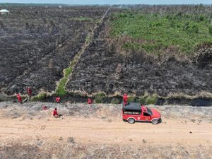 Karhutla di OKI Meluas hingga 20 Hektare Lahan Terbakar, Api Belum Padam