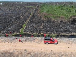 Karhutla di OKI Meluas hingga 20 Hektare Lahan Terbakar, Api Belum Padam
