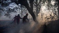 Manggala Agni dan Helikopter BNPB Padamkan Kebakaran Lahan