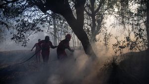 Manggala Agni dan Helikopter BNPB Padamkan Kebakaran Lahan