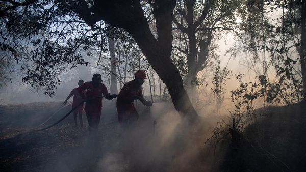Manggala Agni dan Helikopter BNPB Padamkan Kebakaran Lahan