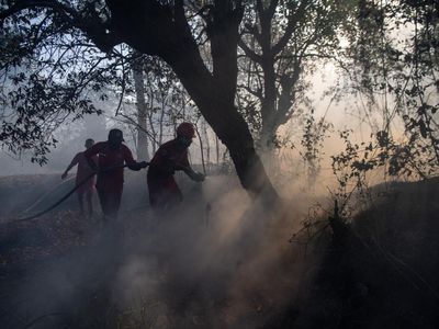 Manggala Agni dan Helikopter BNPB Padamkan Kebakaran Lahan