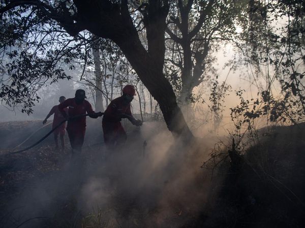 Manggala Agni dan Helikopter BNPB Padamkan Kebakaran Lahan