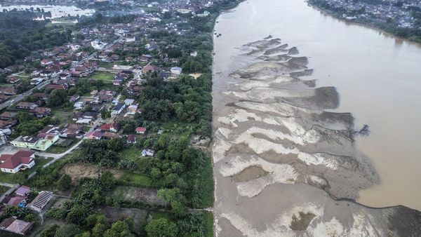 Kemarau Susutkan Debit Sungai Batanghari, Hamparan Pasir Bermunculan
