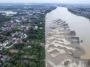 Kemarau Susutkan Debit Sungai Batanghari, Hamparan Pasir Bermunculan