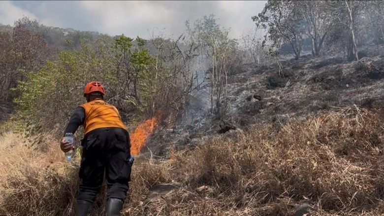 48,6 Hektare Lahan Terdampak Kebakaran Hutan di Pemuteran Buleleng