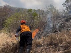 48,6 Hektare Lahan Terdampak Kebakaran Hutan di Pemuteran Buleleng