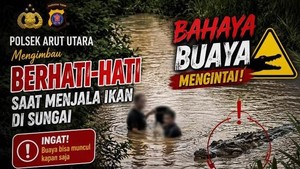 Pria Diserang Buaya di Sungai Jampau Kobar, Polisi Minta Waspada