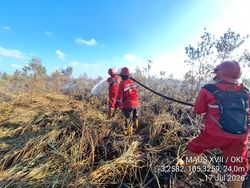 12 Hektare Lahan Gambut di OKI Terbakar, 2 Water Bombing Diturunkan