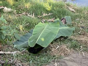 Remaja Ponorogo Tewas Tenggelam saat Mandi di Sungai Usai Mancing