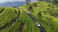 Penggila Garuk Tanah Toyota Land Cruiser Ngumpul!