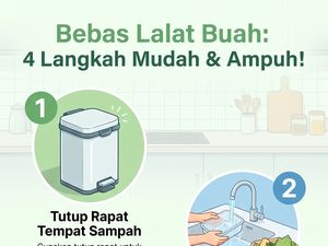 Infografis: 4 Cara Ampuh Usir Lalat Buah dari Tempat Sampah