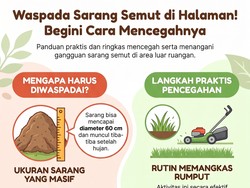 Jangan Sampai Ada Sarang Semut di Halaman Rumah, Begini Cara Cegahnya