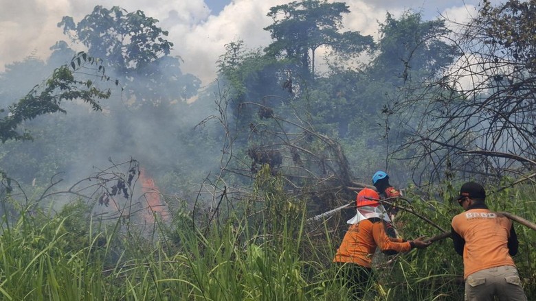 17 Kebakaran Hanguskan 26 Hektare Lahan di Lamandau hingga Juli 2026