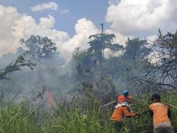 17 Kebakaran Hanguskan 26 Hektare Lahan di Lamandau hingga Juli 2026