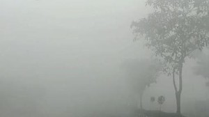 Disdik Palangka Raya Wajibkan Siswa Terdampak Kabut Asap Pakai Masker