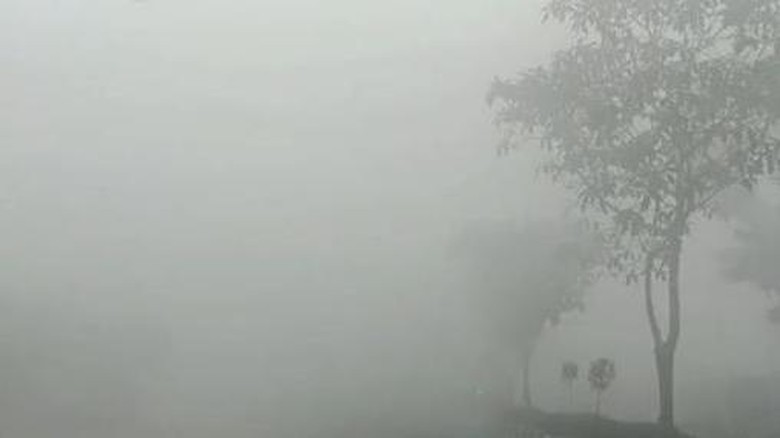 Kotim Mulai Diselimuti Kabut Asap Karhutla, Jarak Pandang 800 Meter