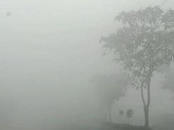 Alat Rusak saat Karhutla, DLH Kotim Pakai Data Kualitas Udara Katingan