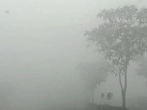 Kotim Mulai Diselimuti Kabut Asap Karhutla, Jarak Pandang 800 Meter