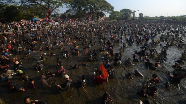 Ribuan Warga Serbu Festival Memet Ikan 2026, Dua Ton Ikan Ludes Jadi Rebutan