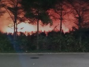 Command Center 112 Surabaya Ralat Penyebab Kebakaran TPA Benowo
