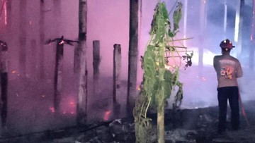 Kandang Ayam di Tulungagung Kebakaran, 3.100 Ayam Terpanggang