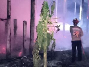 Kandang Ayam di Kedungwaru Tulungagung Terbakar, 3.100 Ayam Terpanggang