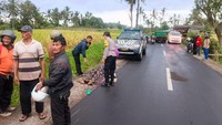 Kecelakaan Maut 3 Motor Libatkan Remaja di Tabanan, 1 Orang Tewas